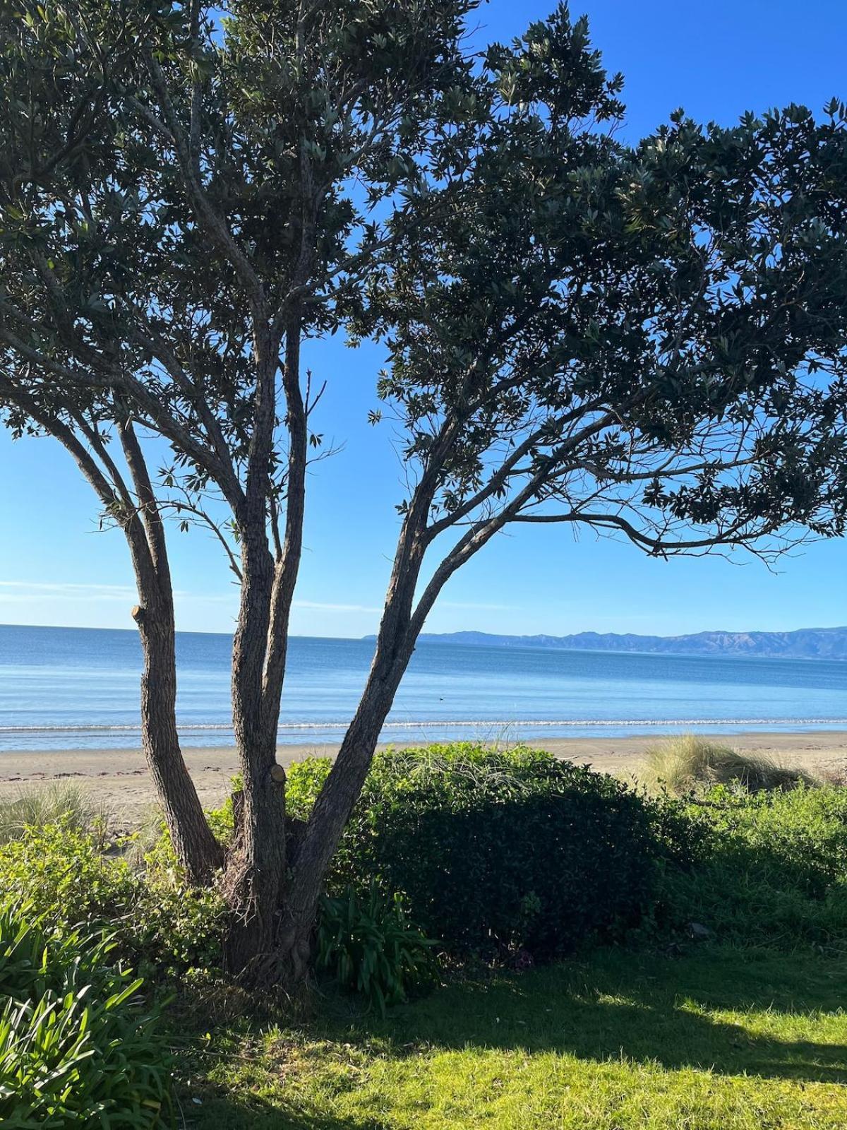 Beachfront Bliss - Your Parapara Seaside Retreat Екстериор снимка